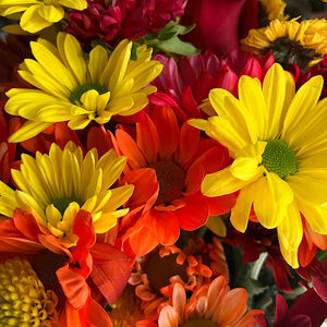 Meet your Posher, Virginia